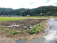 流木撤去完了後の農地(輪島市) 流木撤去完了後の農地(輪島市)