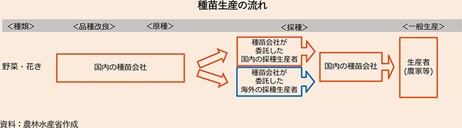 図表1-3-コラム 種苗生産の流れ 図表1-3-コラム 種苗生産の流れ