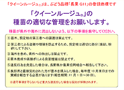 「長果G11」の種苗の適切な管理を呼び掛けるチラシ 「長果G11」の種苗の適切な管理を呼び掛けるチラシ