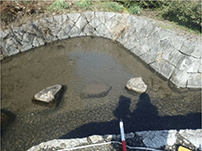 魚類の産卵場・避難場になるワンド工 魚類の産卵場・避難場になるワンド工