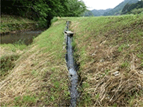 水田を産卵場とする魚類の移動経路を確保する水田魚道 水田を産卵場とする魚類の移動経路を確保する水田魚道