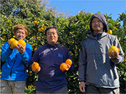 かんきつの特別栽培に取り組む生産者 かんきつの特別栽培に取り組む生産者