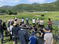亀岡オーガニック農業スクールの圃場 亀岡オーガニック農業スクールの圃場