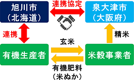 旭川市と泉大津市の連携の概要 旭川市と泉大津市の連携の概要