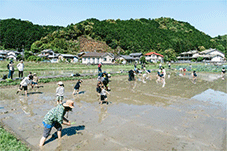 田植え体験 田植え体験
