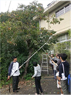 放置かきのもぎ取りイベント 放置かきのもぎ取りイベント