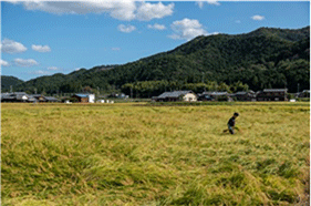 兵庫県北播磨・六甲山北部地域 兵庫県北播磨・六甲山北部地域