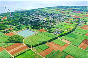 沖縄県多良間地域 沖縄県多良間地域