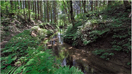 南原穴堰(宮城県大崎市) 南原穴堰(宮城県大崎市)
