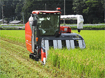 水稲の収穫作業 水稲の収穫作業