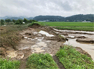 「令和6年7月25日からの大雨」により土砂が流入した農地(秋田県) 「令和6年7月25日からの大雨」により土砂が流入した農地(秋田県)