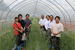 JA会津よつば昭和かすみ草部会