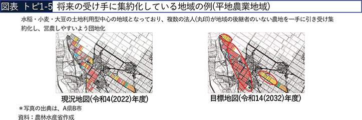 図表 トピ1-5　将来の受け手に集約化している地域の例（平地農業地域）
