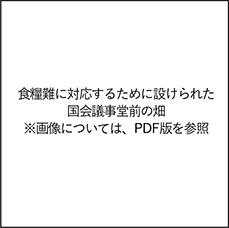 食糧難に対応するために設けられた国会議事堂前の畑