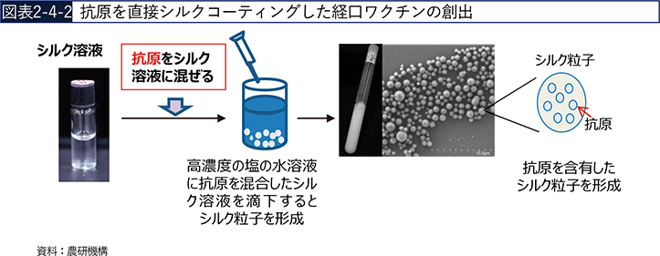 図表2-4-2　抗原を直接シルクコーティングした経口ワクチンの創出