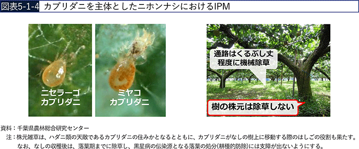 図表5-1-4　カブリダニを主体としたニホンナシにおけるIPM