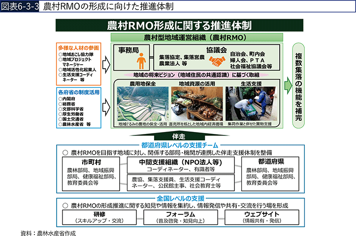 図表6-3-3　農村RMOの形成に向けた推進体制