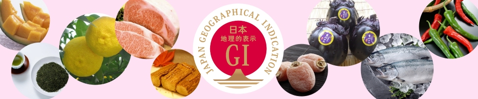 GIのイメージ3