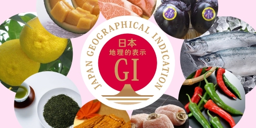 GIのイメージ3