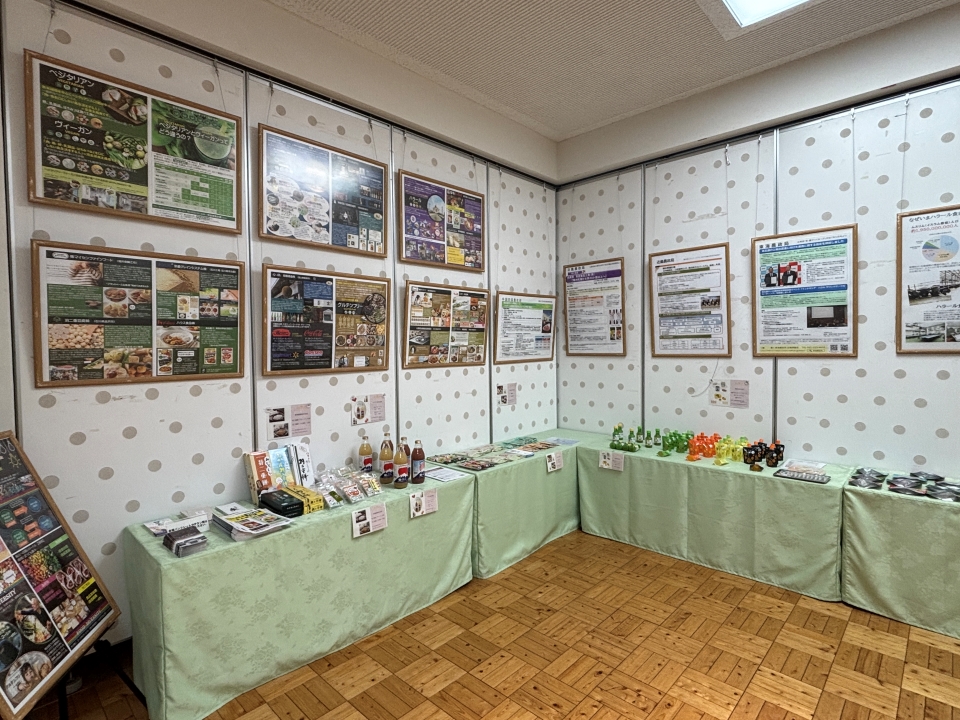 展示の様子