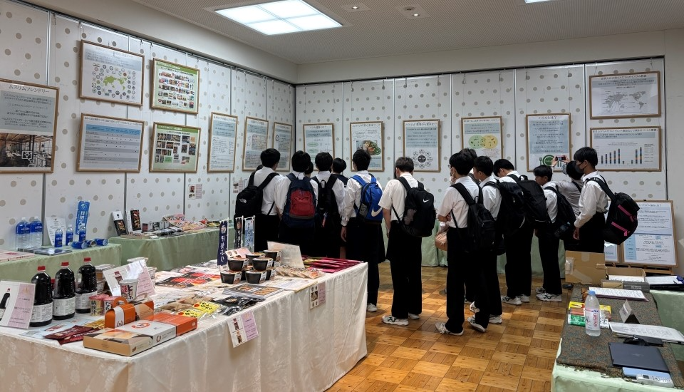 展示の様子