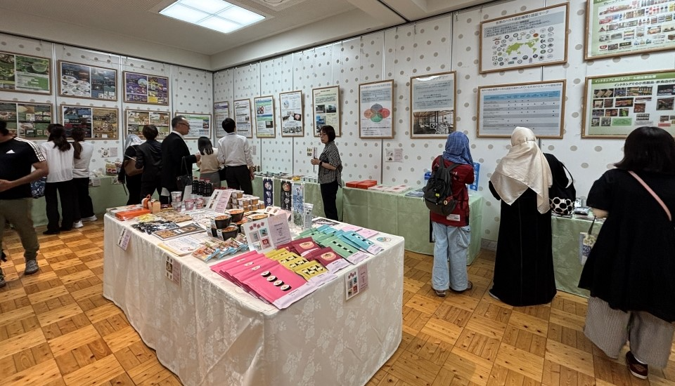 展示の様子