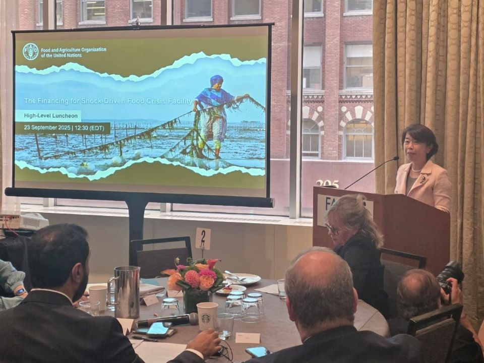 国連食糧農業機関（FAO）主催の会合