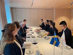 エリクソン地方政策副大臣との会談