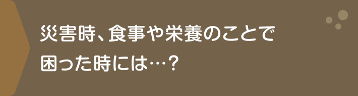 災害時、食事や栄養のことで困った時には…？