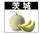 メロン画像茨城リンク