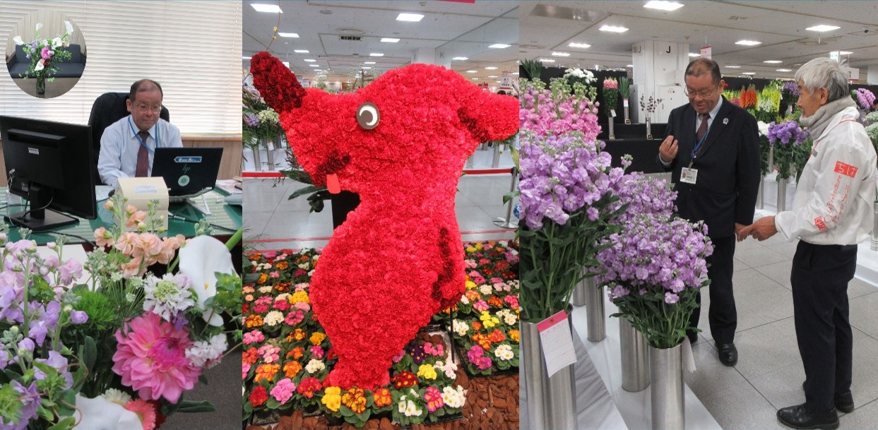 千葉の花を応援