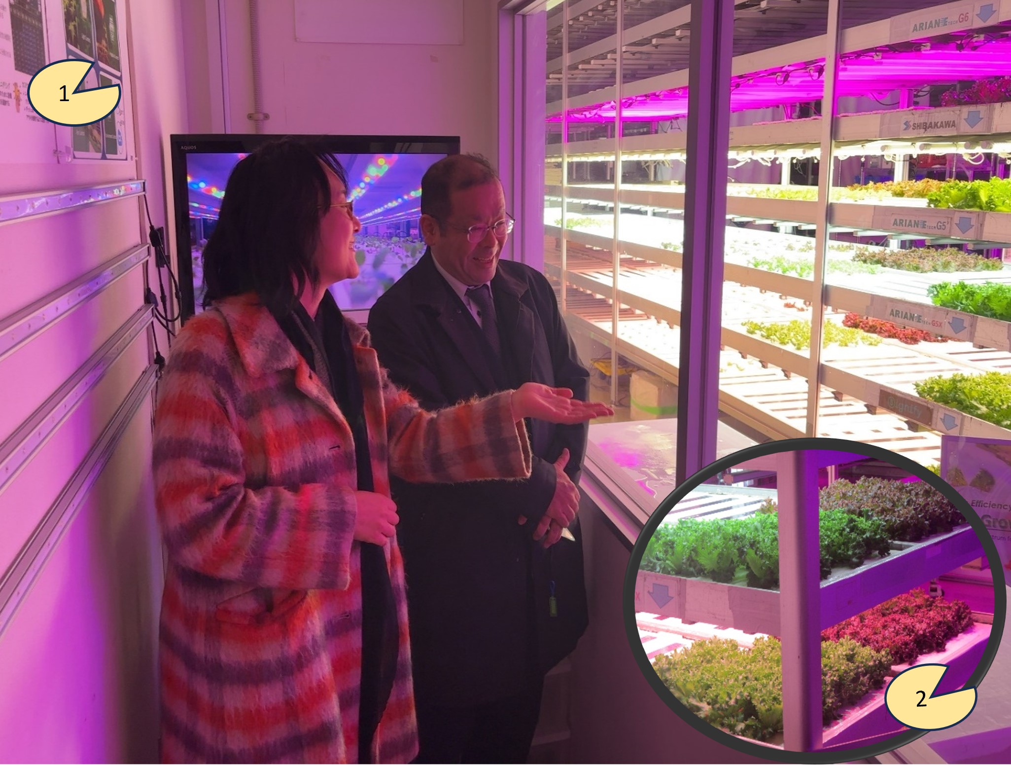 植物工場との意見交換