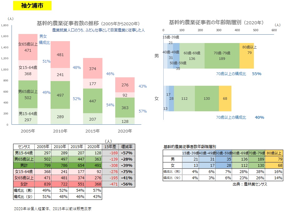 基幹的農業従事者数