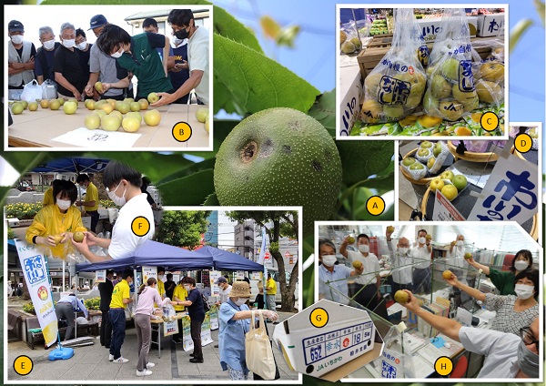 index-23.jpg