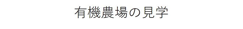 index-75.jpg