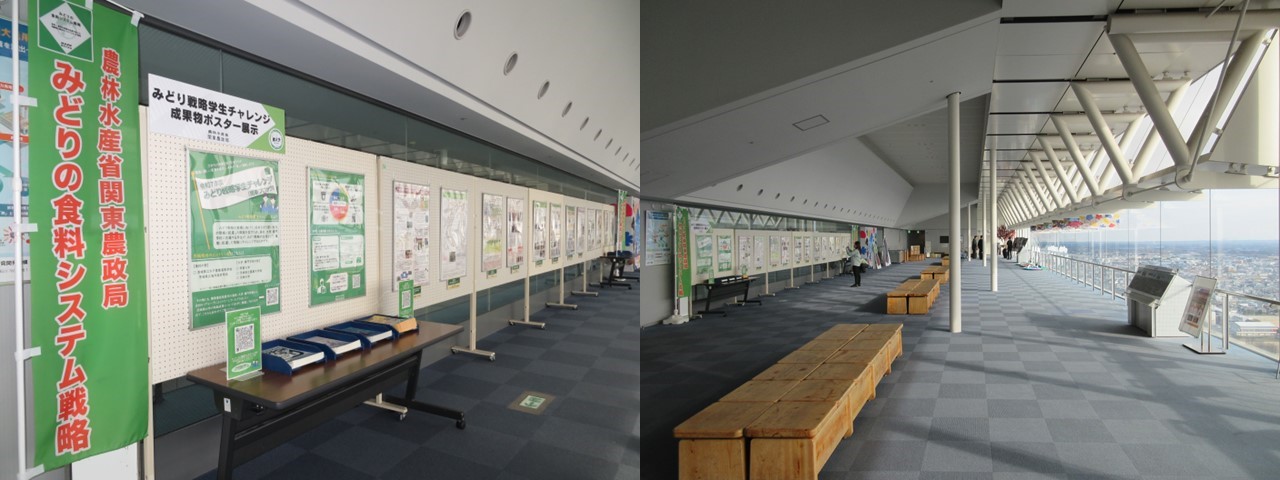 「みどり戦略学生チャレンジ」茨城県内エントリー学校の取組成果物ポスター展示