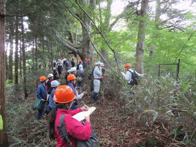 花瓶山の希少植生等の保全に係る現地検討会