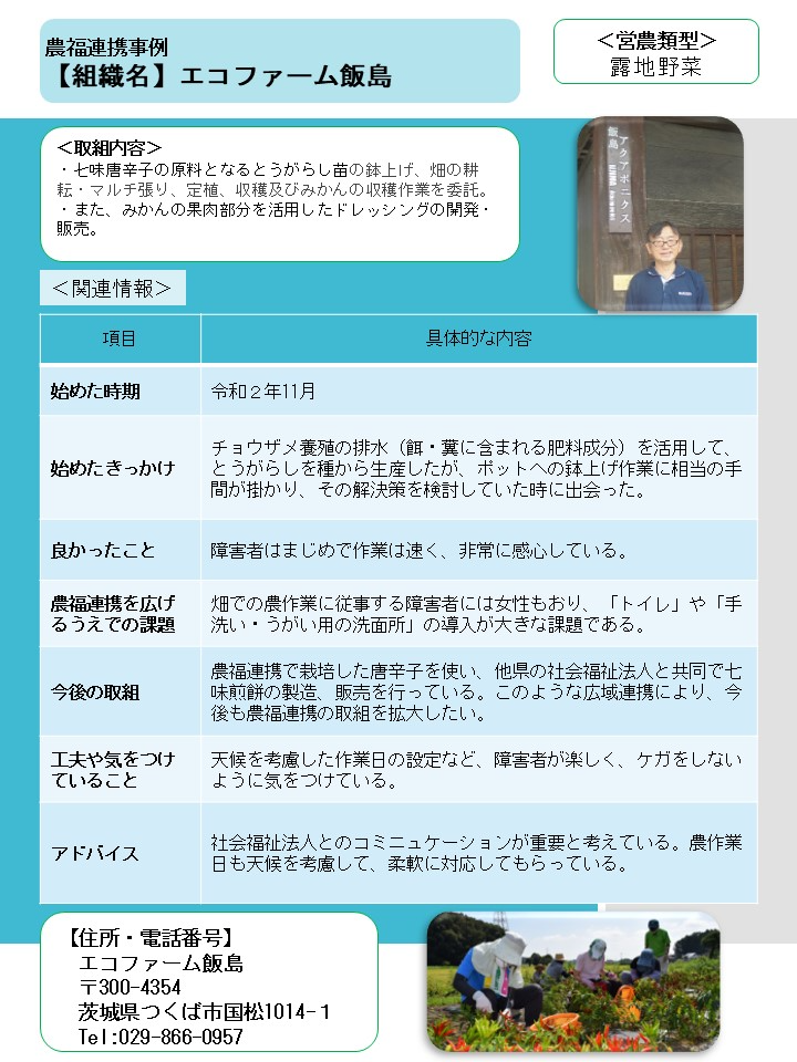 エコファーム飯島（つくば市）