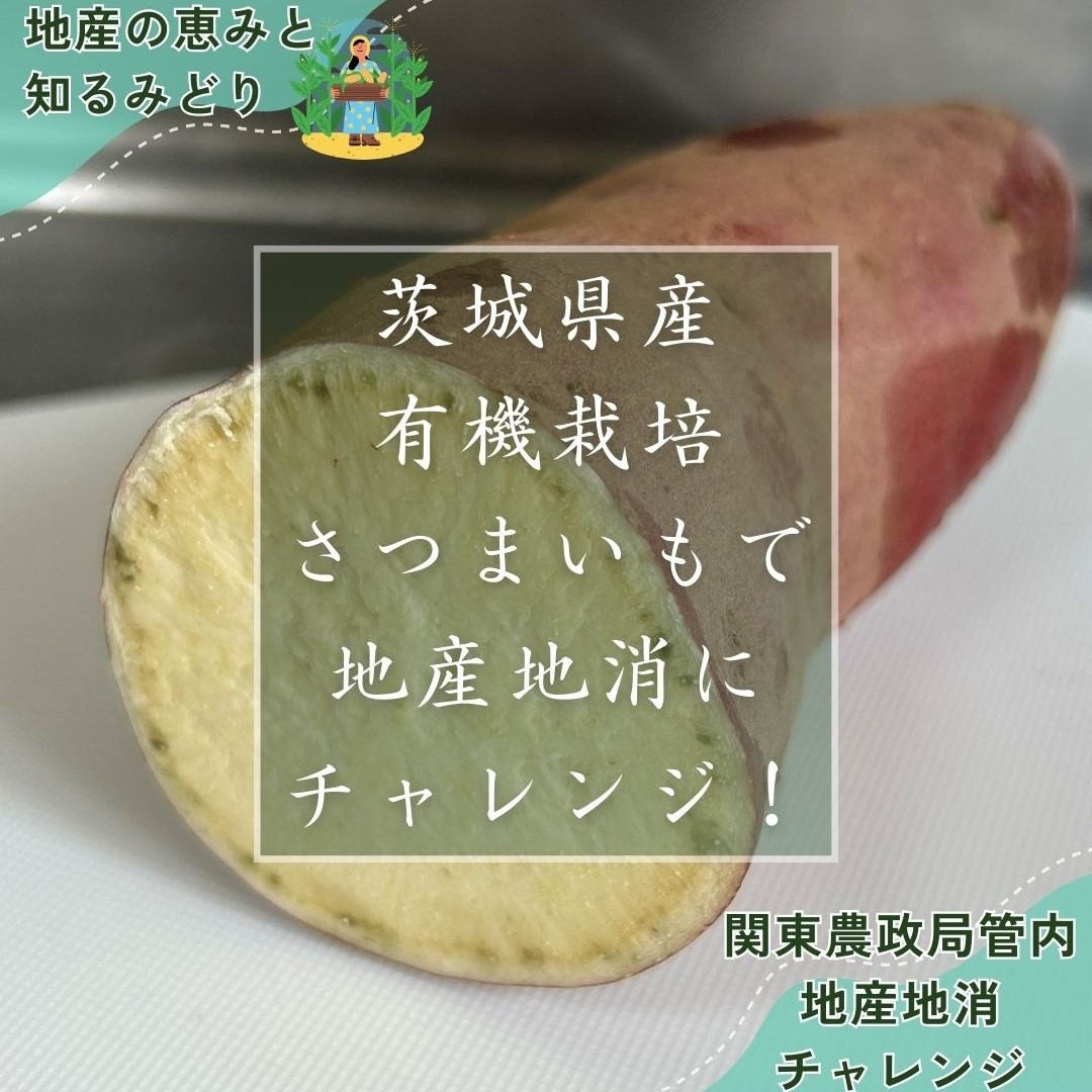地産地消レシピ紹介茨城県産さつまいも編