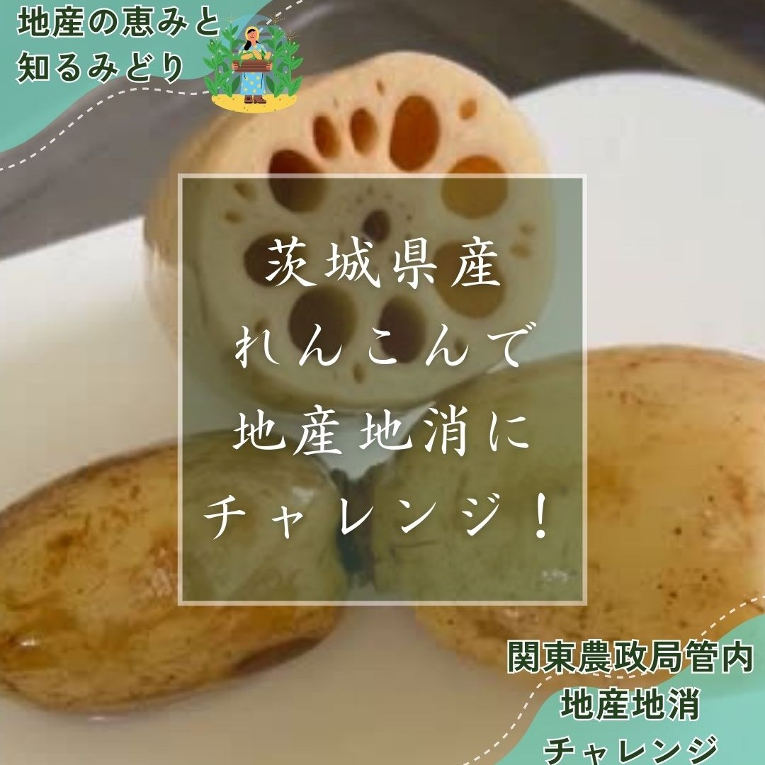 地産地消レシピ紹介茨城県産れんこん編