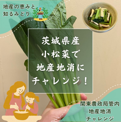 地産地消レシピ紹介茨城県産小松菜編