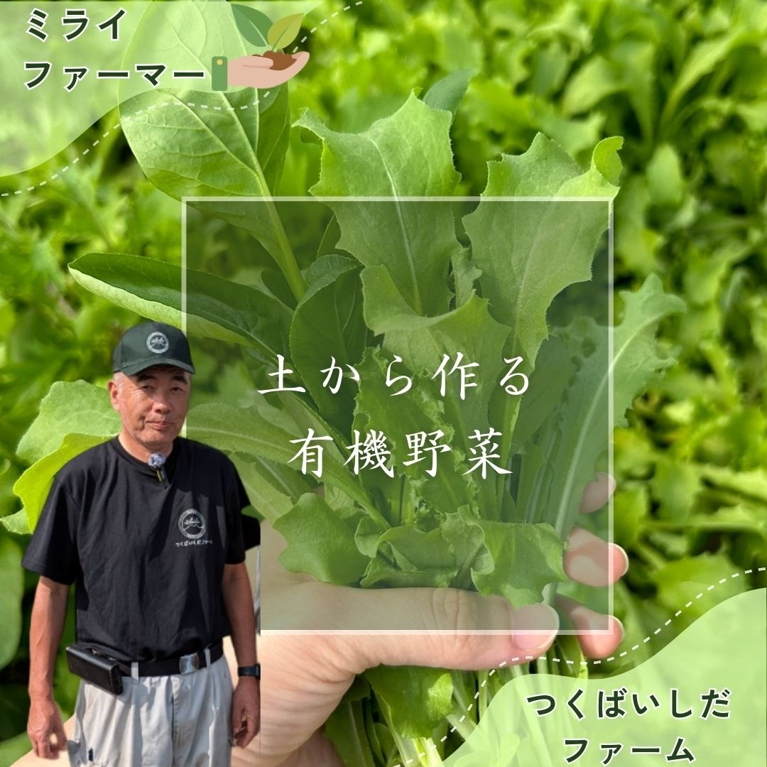 つくばいしだファーム