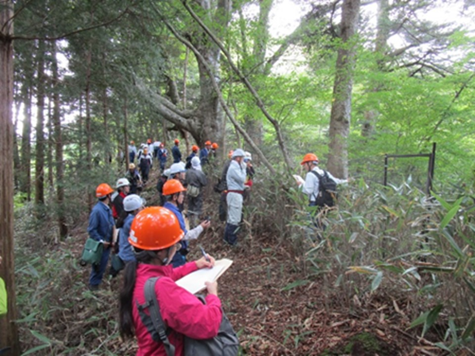 花瓶山の希少植生等の保全に係る現地検討会
