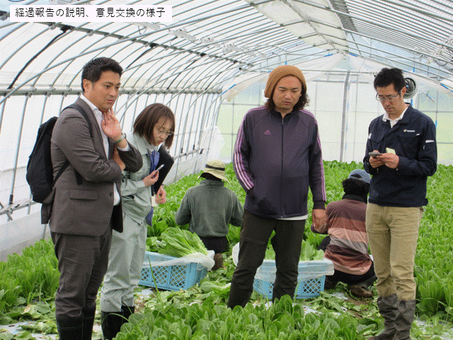バイオ炭の施用ほ場の見学及び意見交換