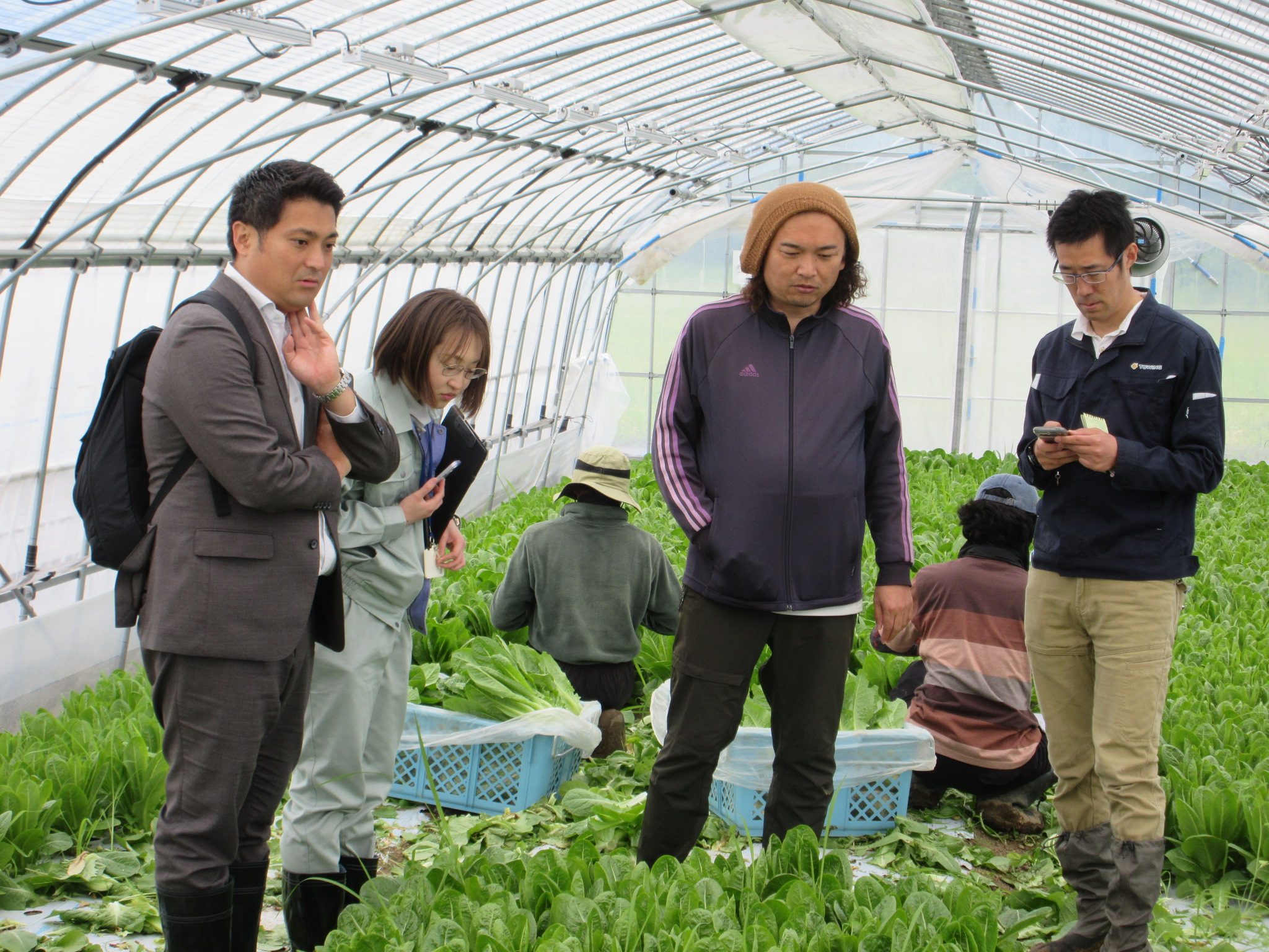 バイオ炭の施用ほ場の見学及び意見交換画像