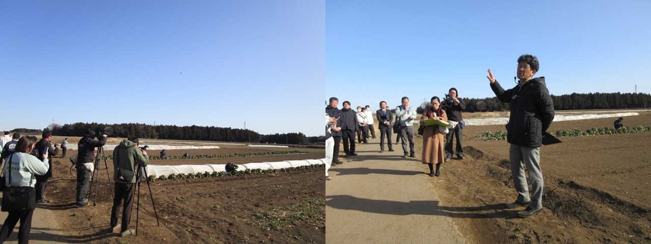 JX金属コーポレートサービス株式会社内原ファームで圃場及び袋詰め作業を見学