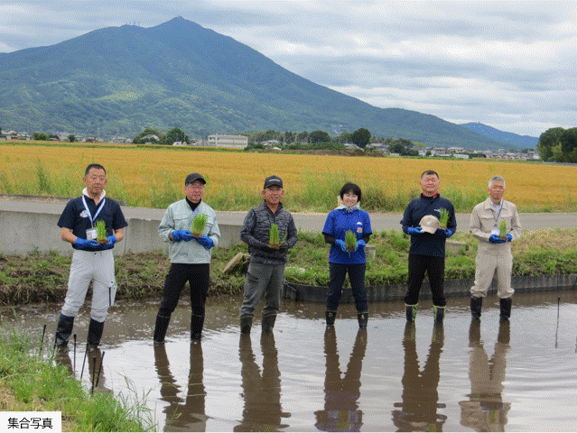 フォトレポート_筑西市有機水稲試験栽培に係る苗の定植会(5月28日).gif