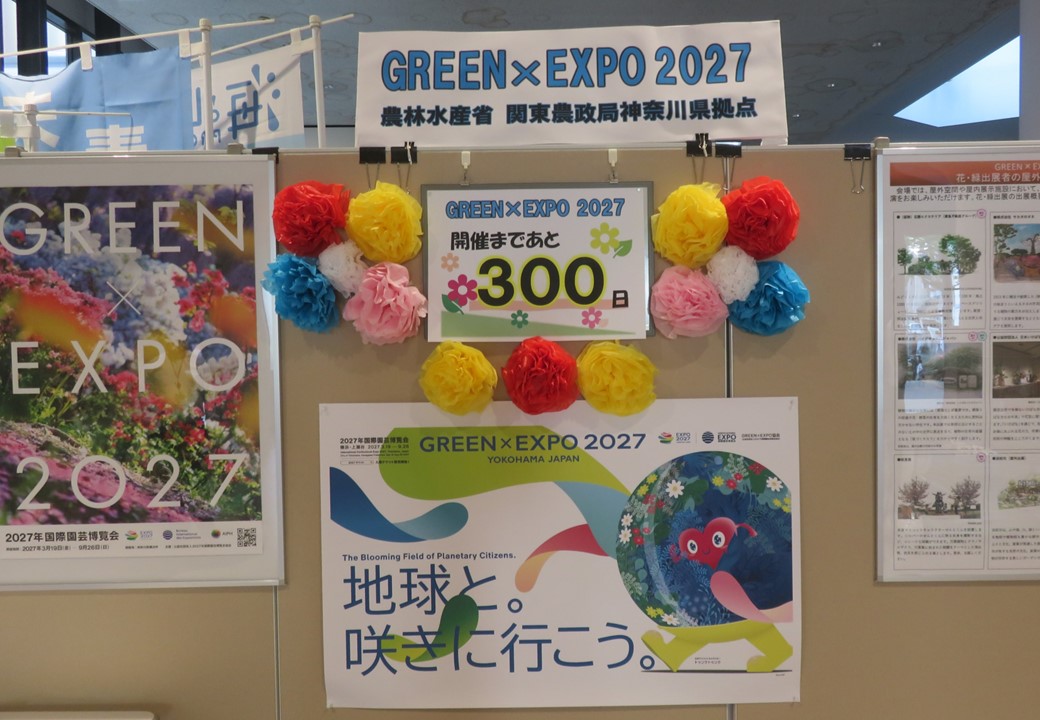 300日前アトリウム展示