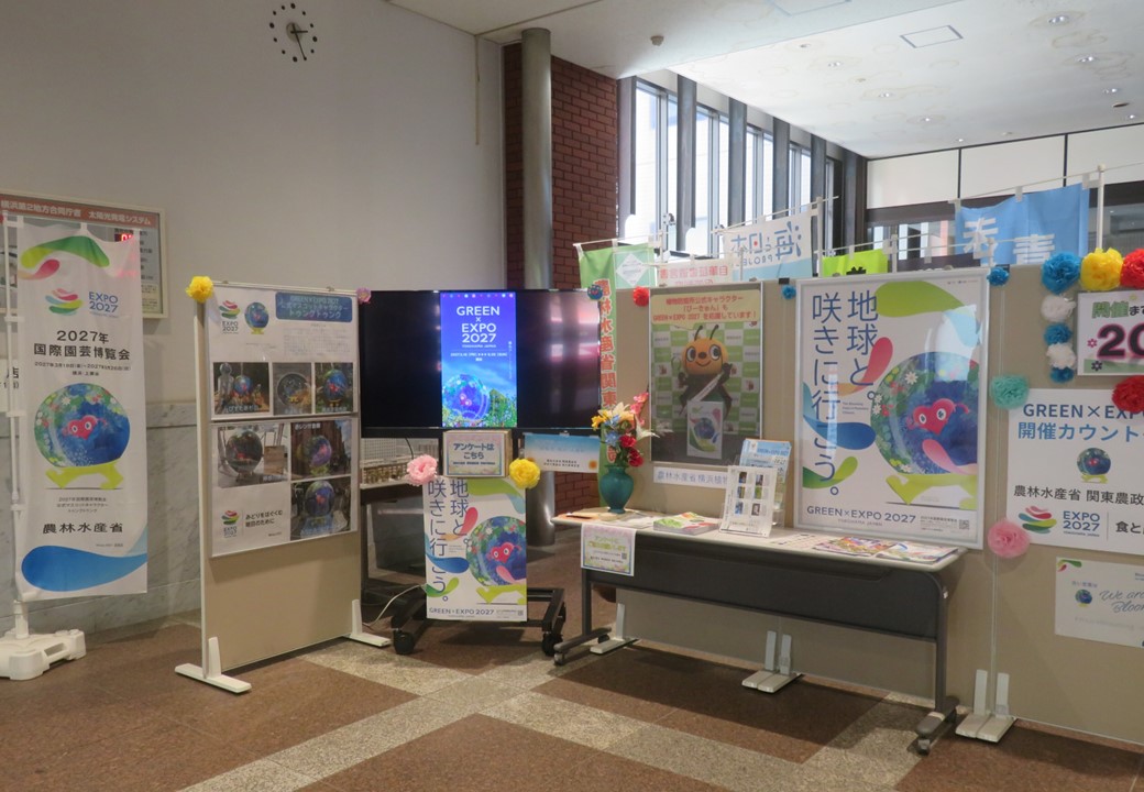 展示全体の様子