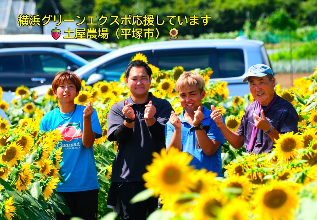 平塚市の土屋農場の方々がひまわり畑でポーズをとっている写真